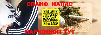мдпв Будённовск