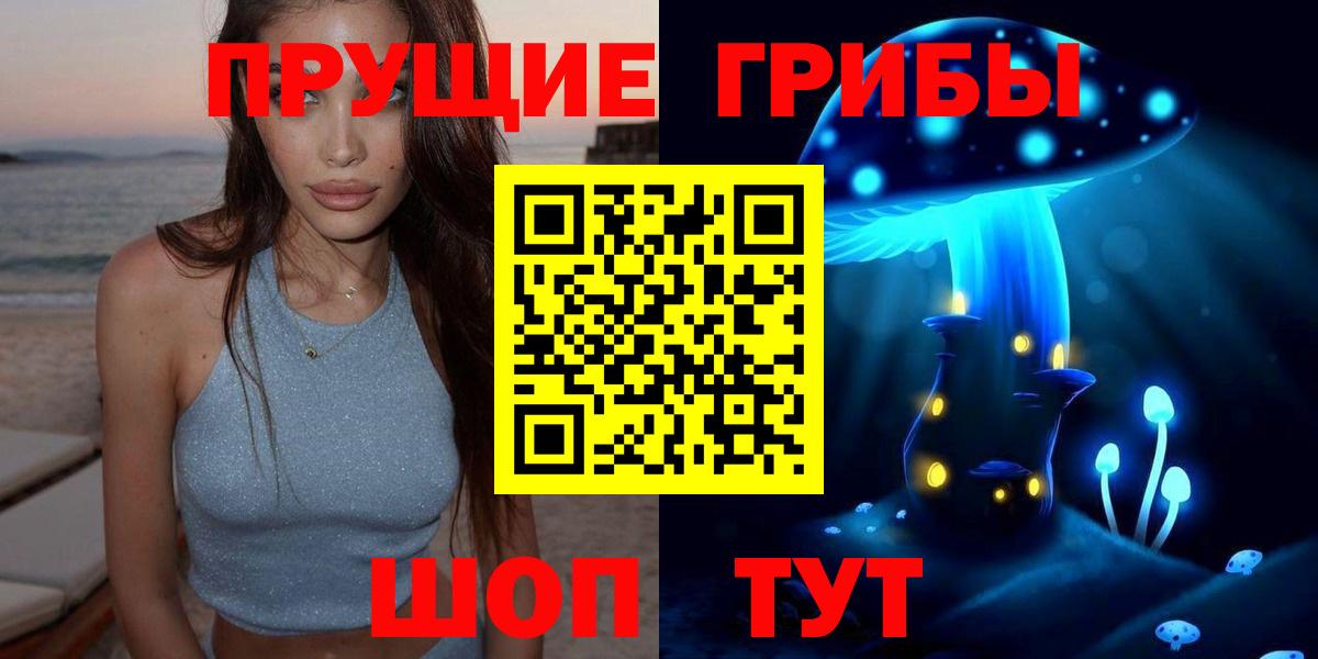 Псилоцибиновые грибы прущие грибы Богданович