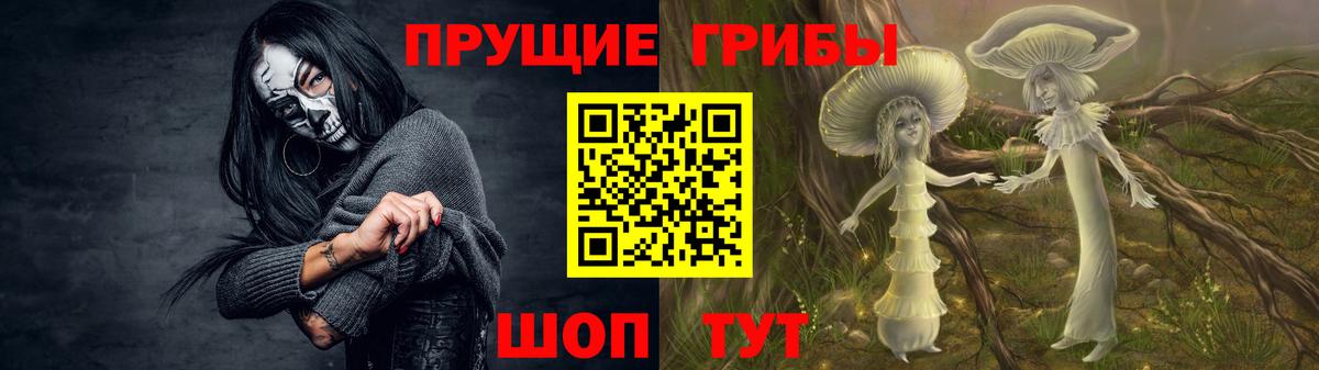 Галлюциногенные грибы Magic Shrooms  Галлюциногенные грибы MAGIC MUSHROOMS  Богданович  Вход с VPN 